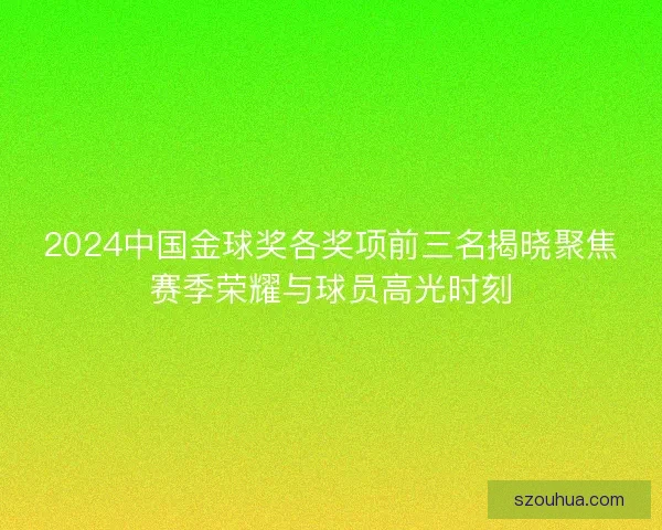 2024中国金球奖各奖项前三名揭晓聚焦赛季荣耀与球员高光时刻